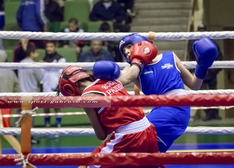 BOX GABI PAINAROV