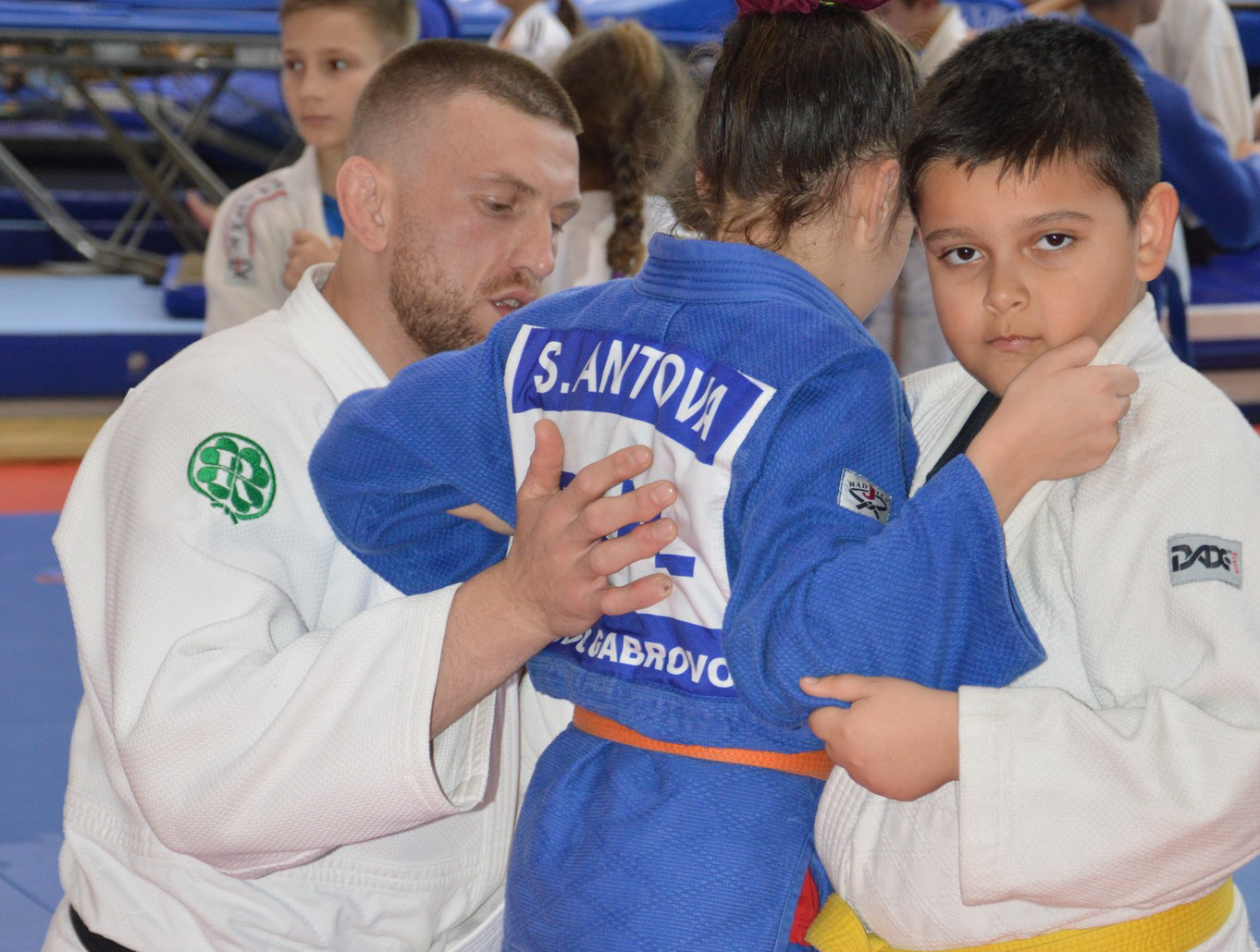 DDichev1