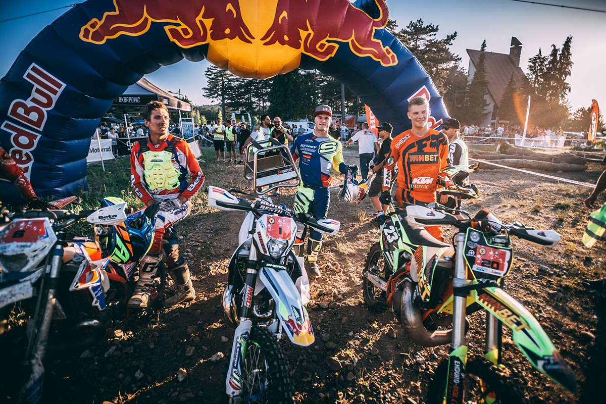 TEDO SERBIA 2019 1